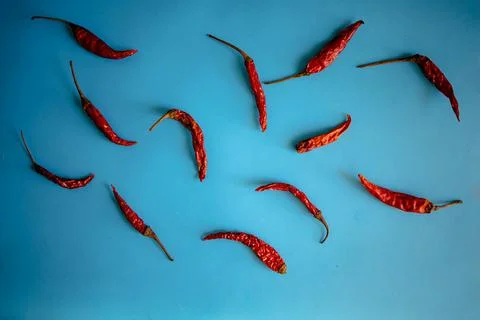 Red Chilli Peppers Pattern On Blue Background. Top View. Stock Photos