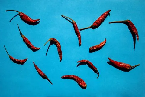 Red Chilli Peppers Pattern On Blue Background. Top View. Stock Photos