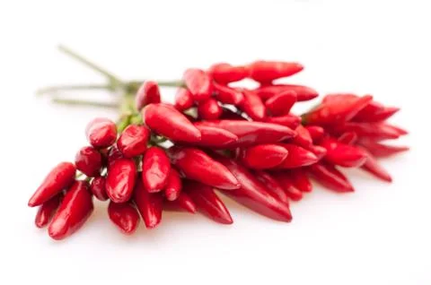 Red chilli peppers Stock Photos