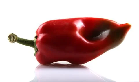 Red chilli peppers Stock Photos