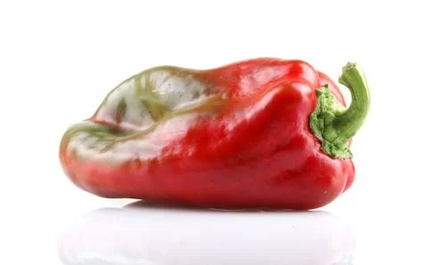 Red chilli peppers Stock Photos