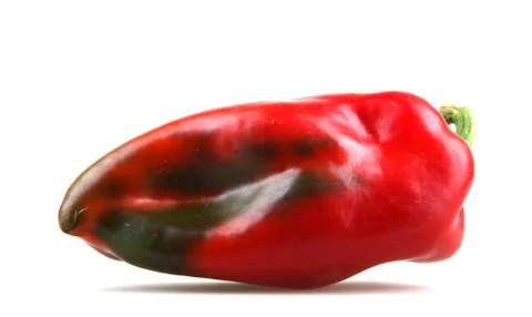 Red chilli peppers Stock Photos