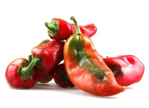 Red chilli peppers Foto stock