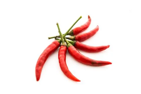 Red chilli peppers Stock Photos