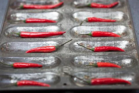 Red Chilli Peppers Foto stock