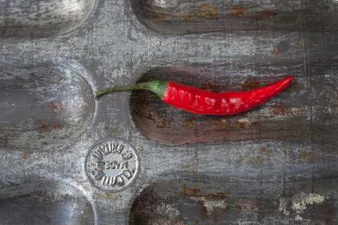 Red Chilli Peppers Stock Photos
