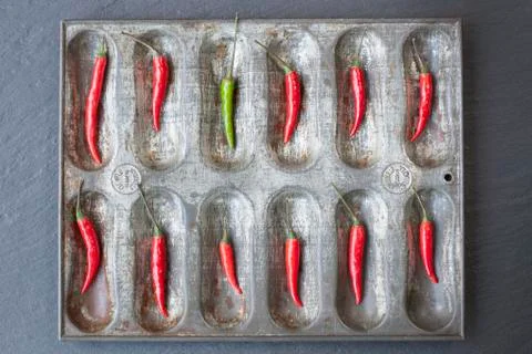 Red Chilli Peppers Stock Photos