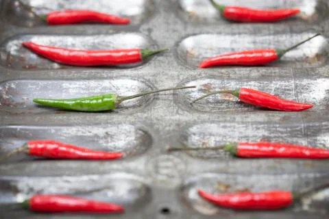 Red Chilli Peppers Stock Photos