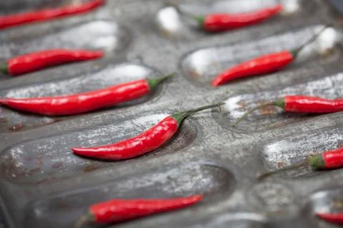 Red Chilli Peppers Stock Photos