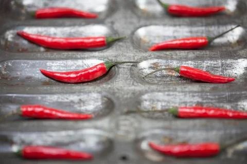 Red Chilli Peppers Stock Photos