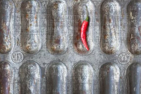 Red Chilli Peppers Stock Photos
