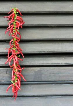 Red chilli peppers Foto stock