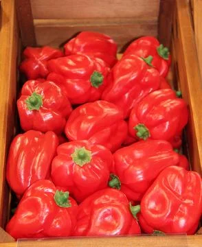 Red Chilli Peppers. Stock Photos
