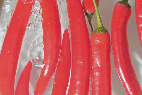 Red chilli peppers on white background. Hot chilli peppers close-up in liquid Fotos de archivo