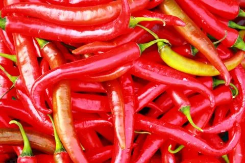 Red chilli Foto stock