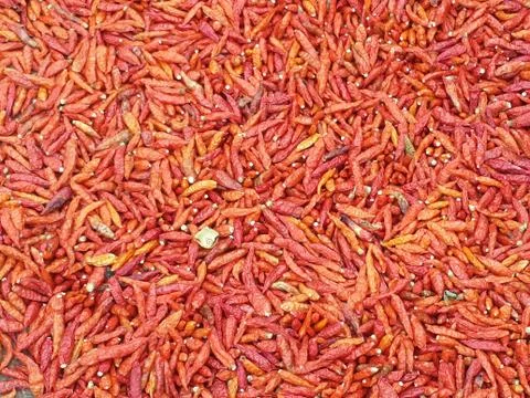 Red Chilli Stock Photos