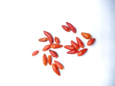 Red Chilli Stock-Fotos