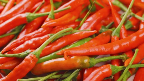 Red chilli rotating around on a bowl. Spicy flavor for spice food menu. Video stock 151653461