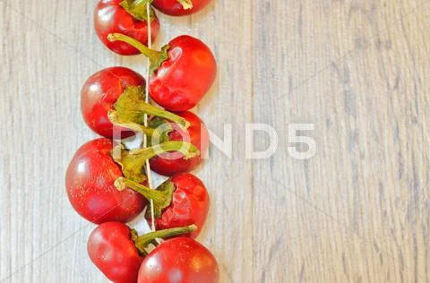 Red chilli in a row, tied by rope Stock Photos