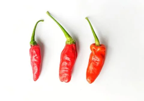Red chilli on white background 스톡 사진