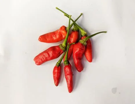 Red chilli on white background 스톡 사진