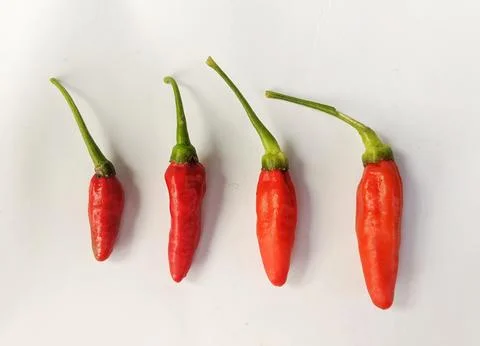 Red chilli on white background 스톡 사진