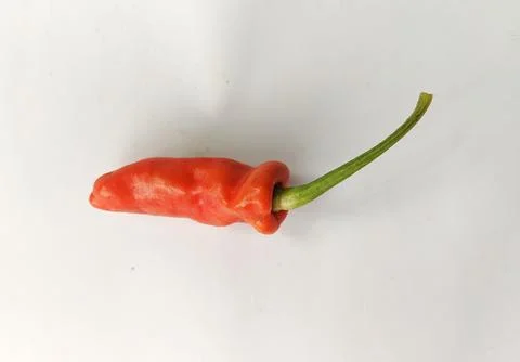 Red chilli on white background 스톡 사진