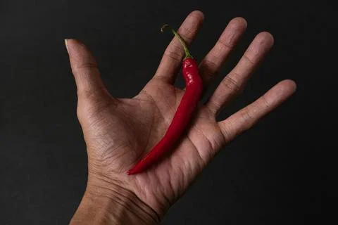 Red chillies on the hand Stock Photos