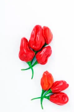 Red chillies Stock Photos