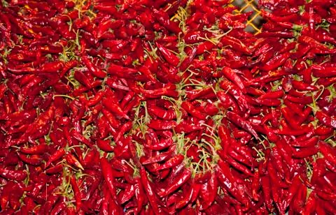 Red chillies Stock Photos
