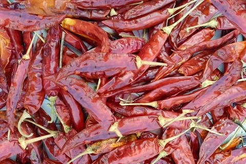 Red Chillies Stock Photos