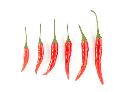 Red chillis Stock Photos