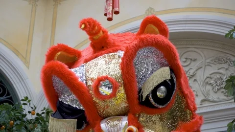 Red Chinese dragon Stock Footage 103365095