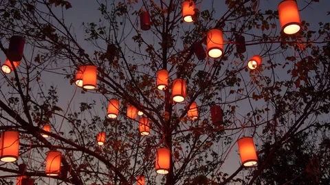 Red chinese lamp on tree and Chinese New Year Stockbeeldmateriaal 83147364