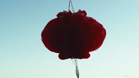 Red Chinese Lantern At Sunset Stock Footage 230032182