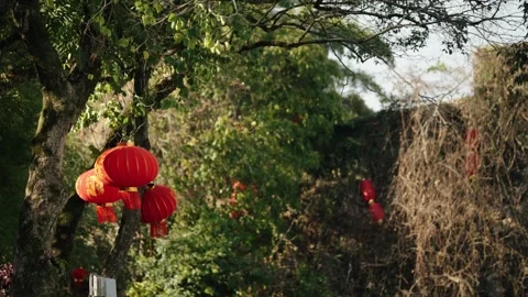 Red Chinese lanterns hang from trees in the countryside of Yangshuo. Vídeo Stock 342577212