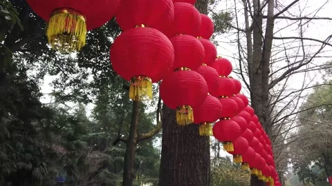 Red Chinese lanterns hanging on trees in China Stock Footage 169074886