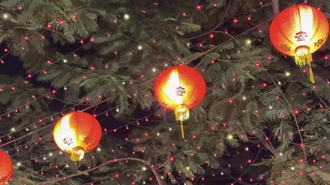 Red Chinese New Year Lanterns and String Lights on Night Trees Stock Footage 329010684