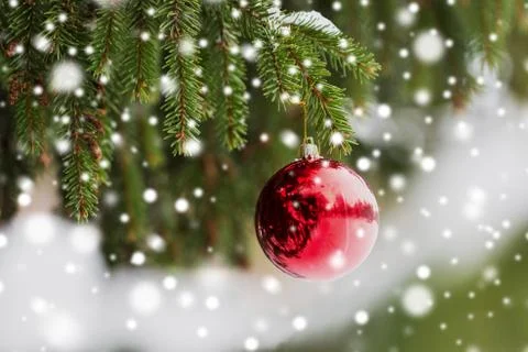 Red christmas ball on fir tree branch with snow Stock Photos