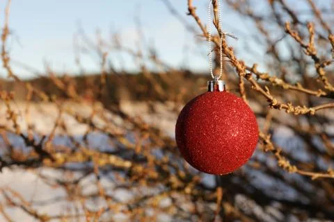 Red Christmas ball Stock Photos