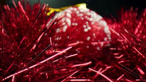 A red Christmas ball with a rough surface is surrounded by shiny tinsel. Small Stock Footage 165949405