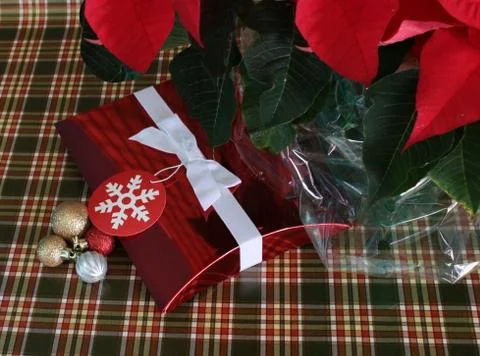 Red Christmas Box Stock Photos
