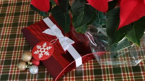 Red Christmas Box Stock Photos