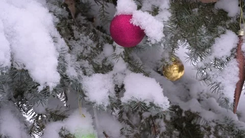 Red Christmas decoration in a pine tree that is covered in snow during a snowsto Stock Footage 145546559