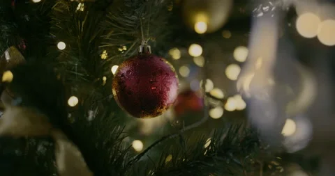 Red christmas toy on the tree Stock Footage 135964548