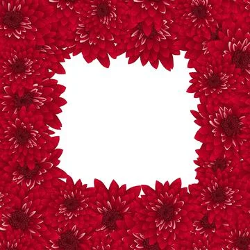 Red Chrysanthemum Border2 Stock Illustration