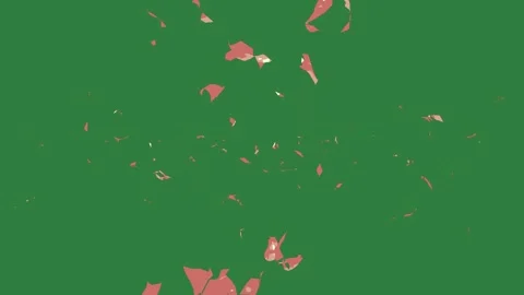 With red circle and broken pieces of paper bunch flowers this is pink cartoonish Video stock 336049979