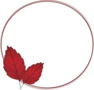 Red circle frame with two red leaves on bottom left side. Fall. Stock Illustration