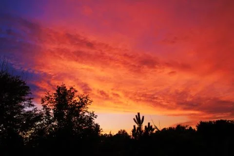 Red cirrus clouds in the evening Stock Photos