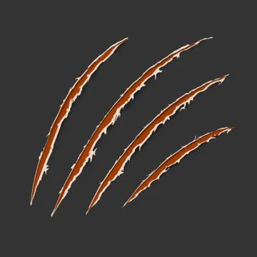 Red claws animal scratch scrape track isolated on dark background. Vector ill Stock Illustration